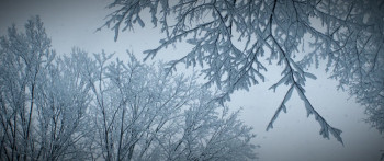 Cold Wallet (2024) download