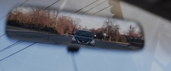 Collection (2021) download