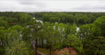 Complexions (2020) download