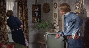 Confessions of a Window Cleaner (1974) download