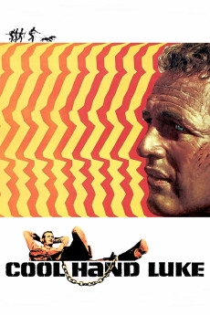 Cool Hand Luke (1967) download