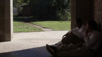 Cougars Inc. (2011) download