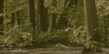 Coup de Chance (2023) download