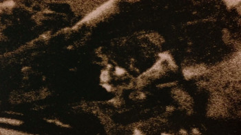 Cover-Up (1991) download