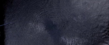 Crazy Lake (2016) download