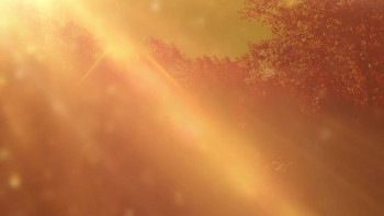 Crucify (2020) download