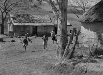 Cry, the Beloved Country (1951) download