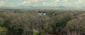 Daddy's Head (2024) download