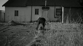 Daisy (2025) download