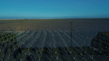 Daisy (2025) download