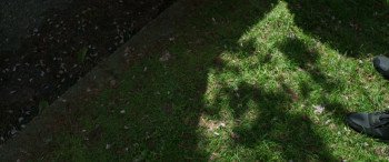 Dark Harvest (2016) download