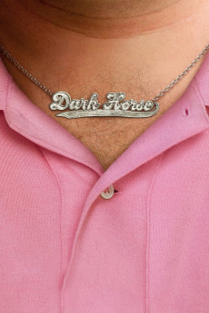 Dark Horse (2012) download