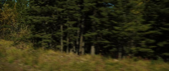 Dark Nature (2022) download