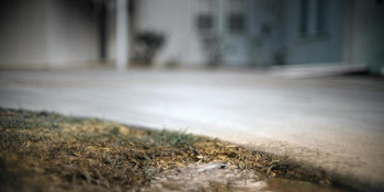 Daruma (2023) download