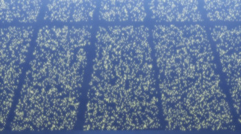 Date a Live Movie: Mayuri Judgement (2015) download