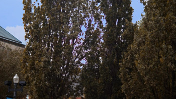 Dating My Past (2025) download