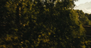 Day of the Dead (2008) download