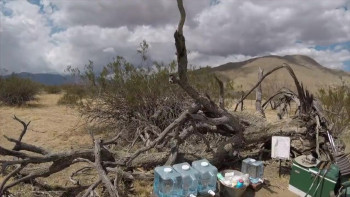 Days on PCT (2024) download