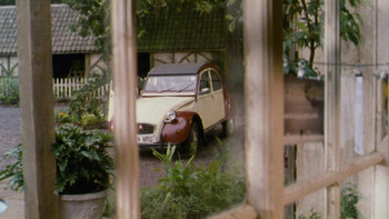 Dazzle (1999) download