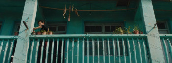 Dead Pigs (2018) download