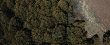 Death Hunt (2022) download