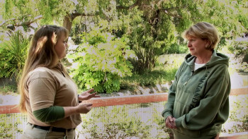 Death Makes Life Possible (2013) download