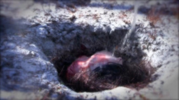 Death-Scort Service Part 2: The Naked Dead (2017) download