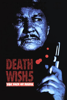 Death Wish: The Face of Death (1994) download