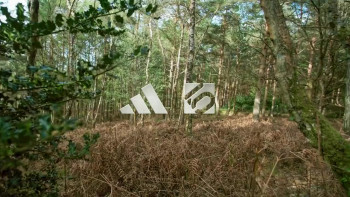 Deathgrip 2 (2024) download