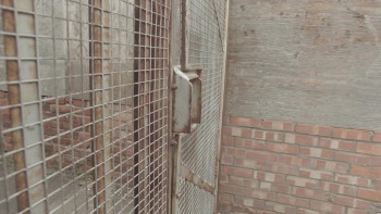 Decline (2022) download