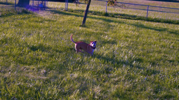 Demon Spawn (2025) download