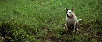 Devil Beneath (2016) download