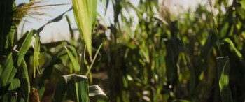 Die drei ??? und der Karpatenhund (2025) download