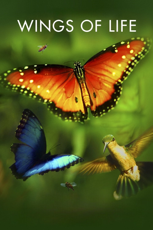 Disneynature: Wings of Life (2011) download