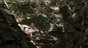 Distress Signals (2022) download