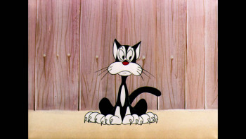 Dog Collared (1950) download