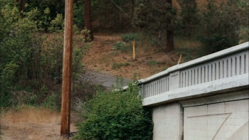 Dog Gone (2008) download