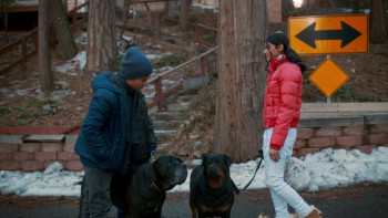 Dog Patrol: Operation Santa Paws (2025) download