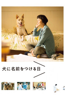 Dogs Without Names (2015) download