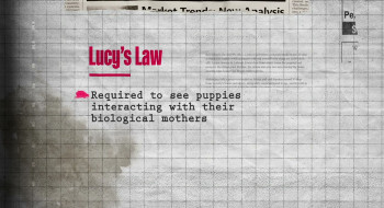 Dogspiracy (2025) download