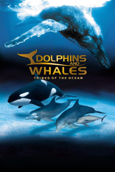 Dolphins and Whales 3D: Tribes of the Ocean (2008) download