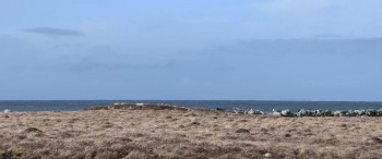 Don't Crack Under Pressure II (2016) download