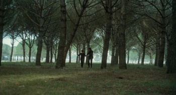 Don't Sting the Mosquito (1967) download