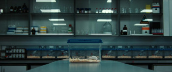 Double Blind (2023) download