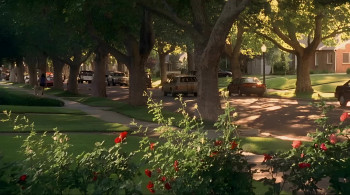 Double Teamed (2002) download