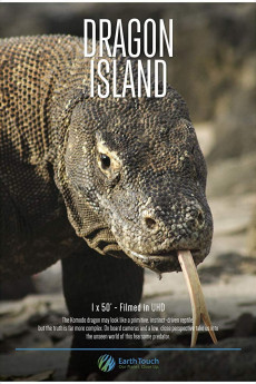 Dragon Island (2016) download