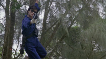 Dreaming the Reality (1991) download