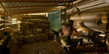 Dügün Evi (2025) download