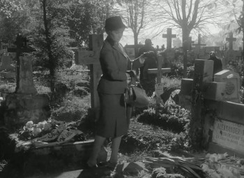 Dwa zebra Adama (1964) download