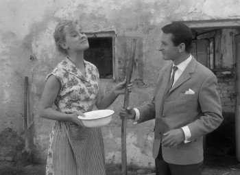 Dwa zebra Adama (1964) download